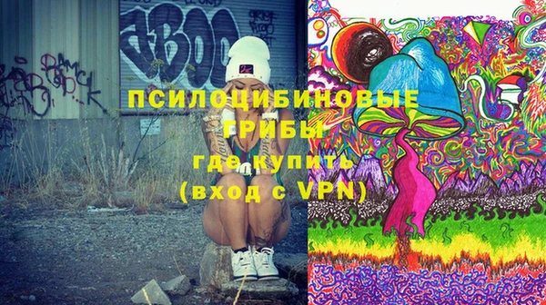 ПСИЛОЦИБИНОВЫЕ ГРИБЫ Абдулино