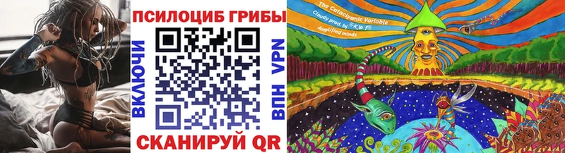 купить  цена  Торопец  Галлюциногенные грибы мицелий 